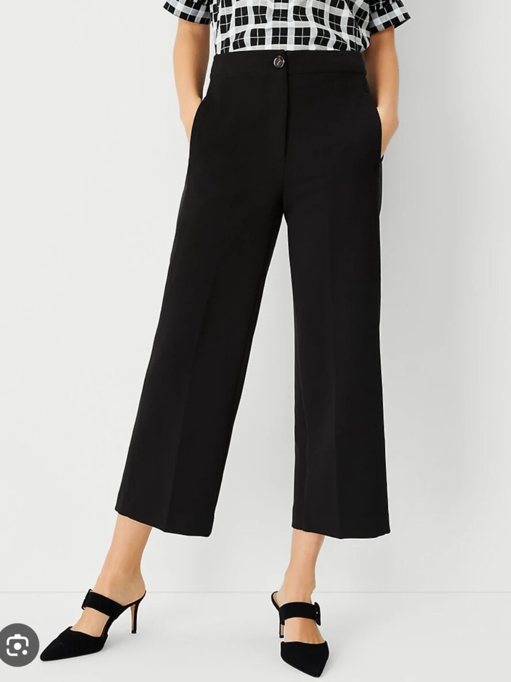 Ann Taylor Dress Pants